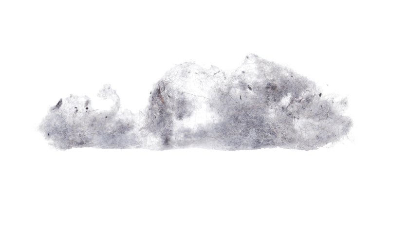 Брызги снега