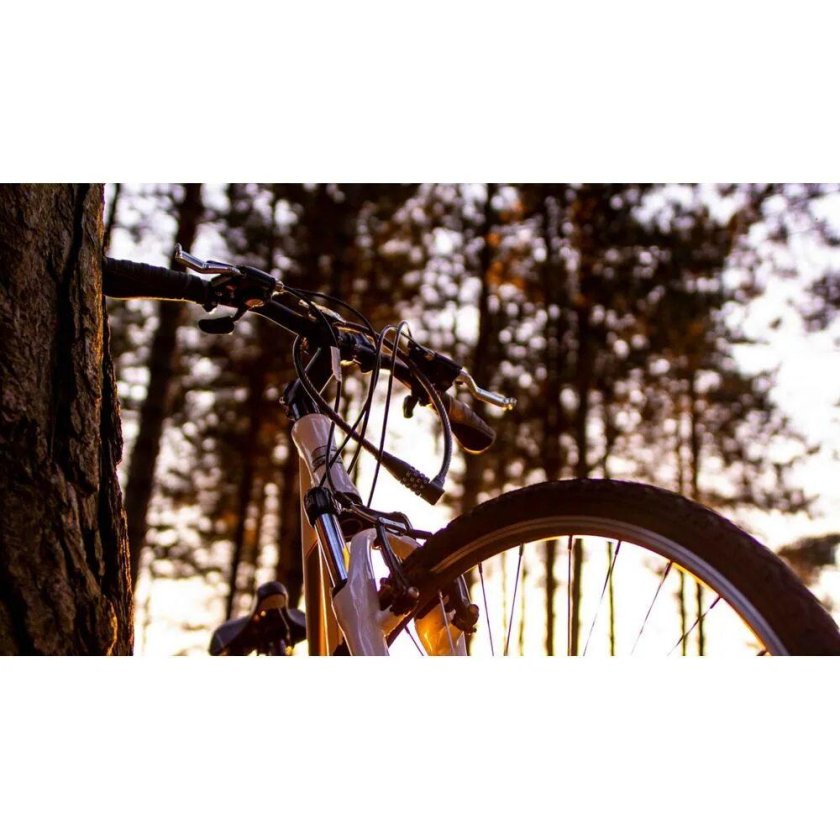 Велосипед в лесу