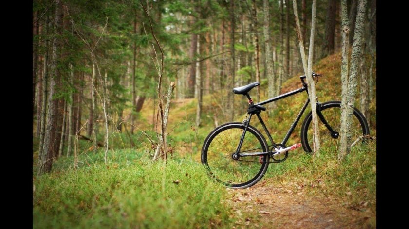 Велосипед в лесу