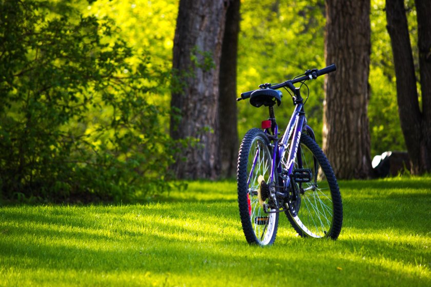 Велосипед на природе