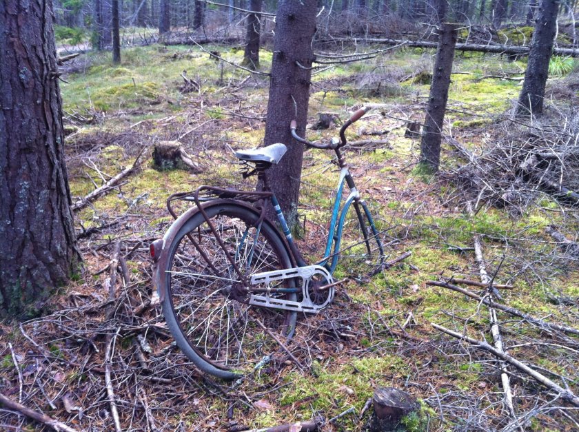 Велосипед в лесу