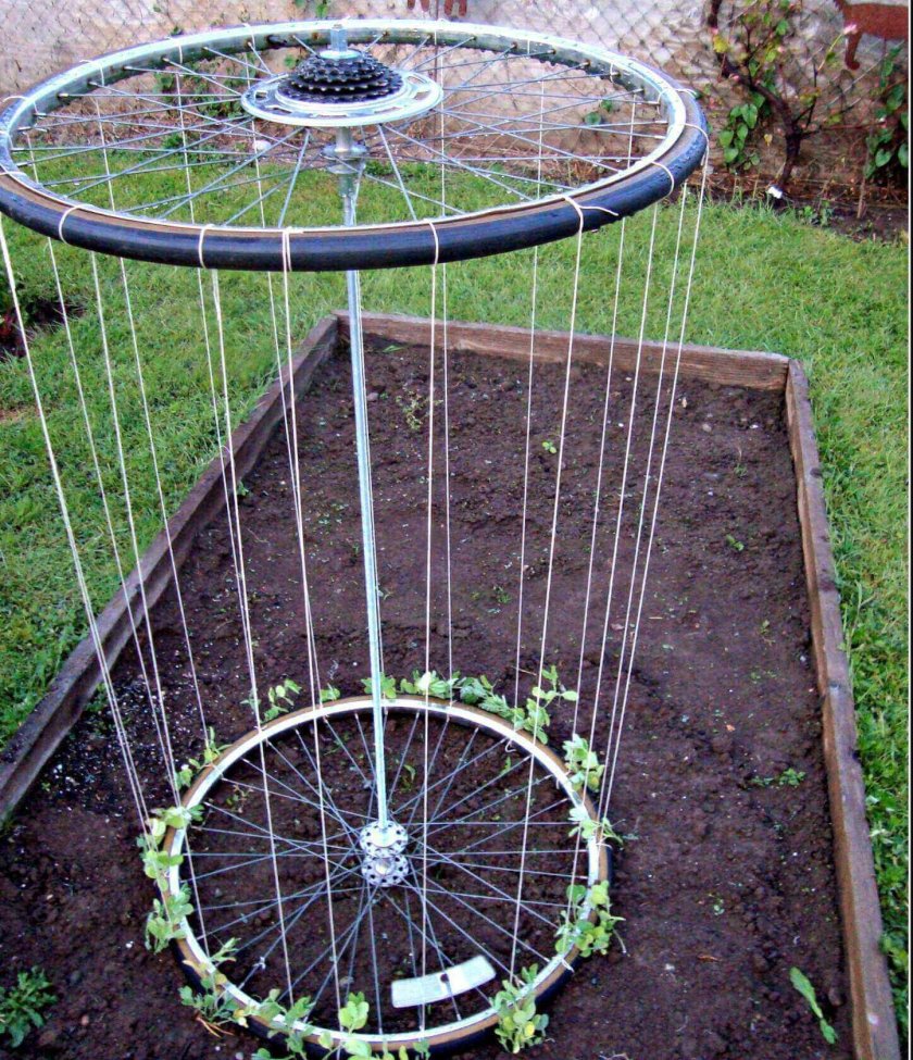 Идеи для сада