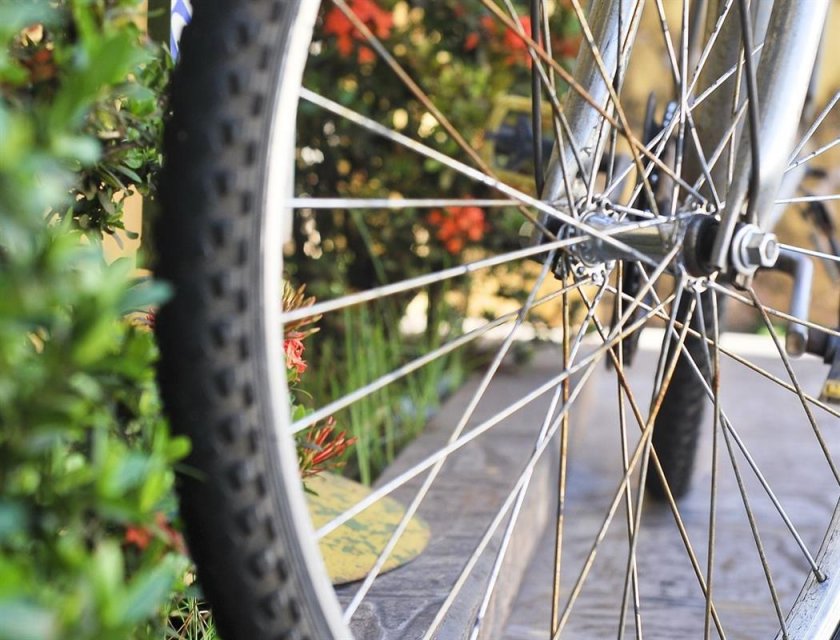 Колесо со спицами