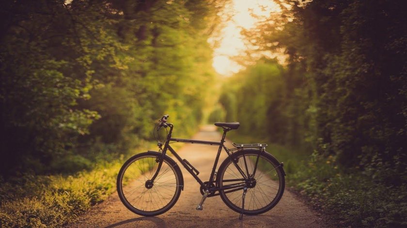 Велосипед на природе