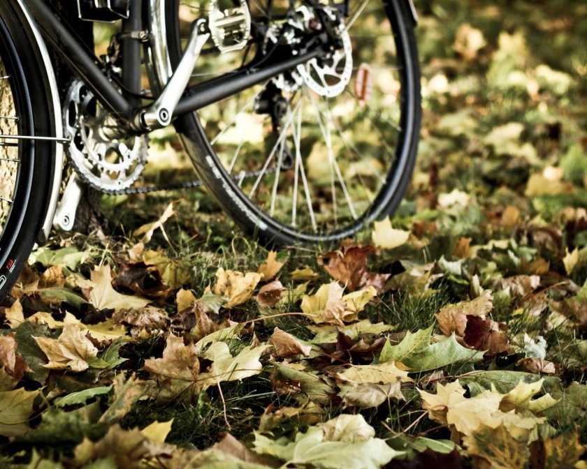 Велосипед осенью