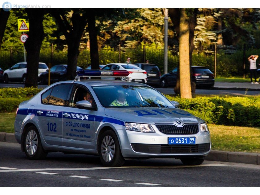 Skoda Octavia ДПС