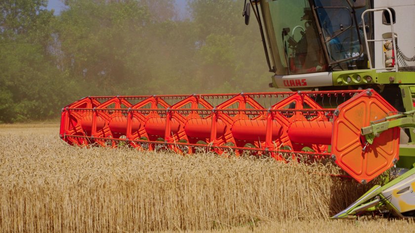 Агросроки это