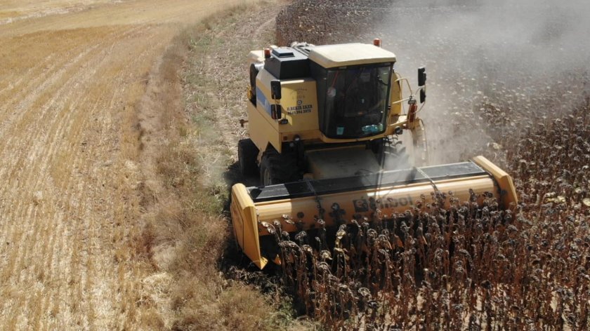 Жатка для уборки подсолнечника