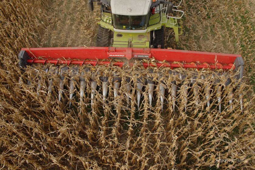 Безрядковая жатка для кукурузы