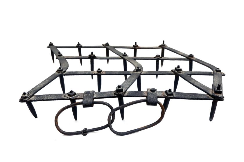 Борона суковатка