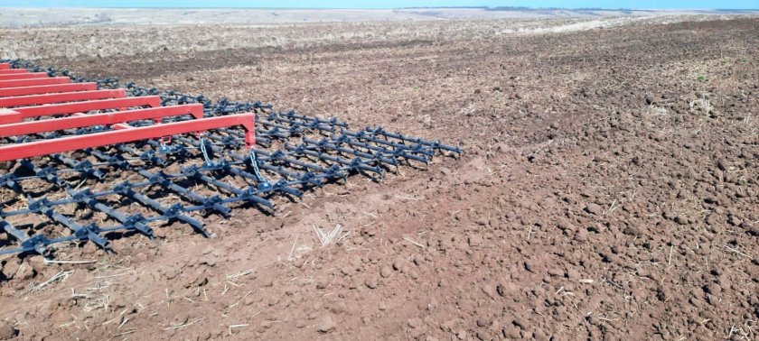 Штригельная борона