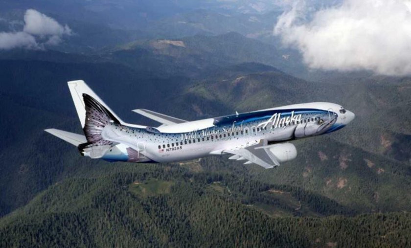 Боинг 737 красивые ливреи