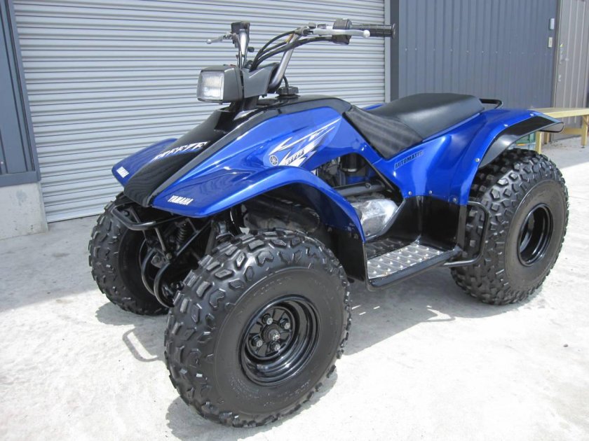 Yamaha wolverine 450