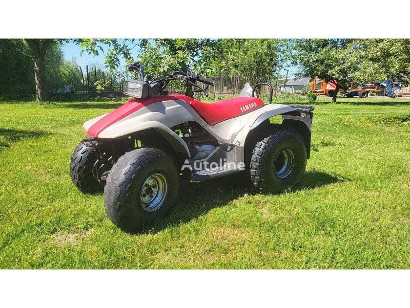 Квадроцикл honda