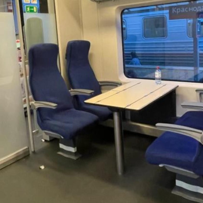 725ч Ласточка бизнес класс