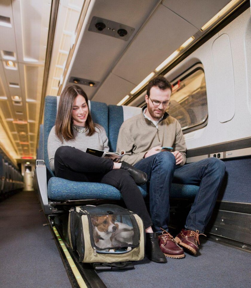 Вагоны для пассажиров с животными