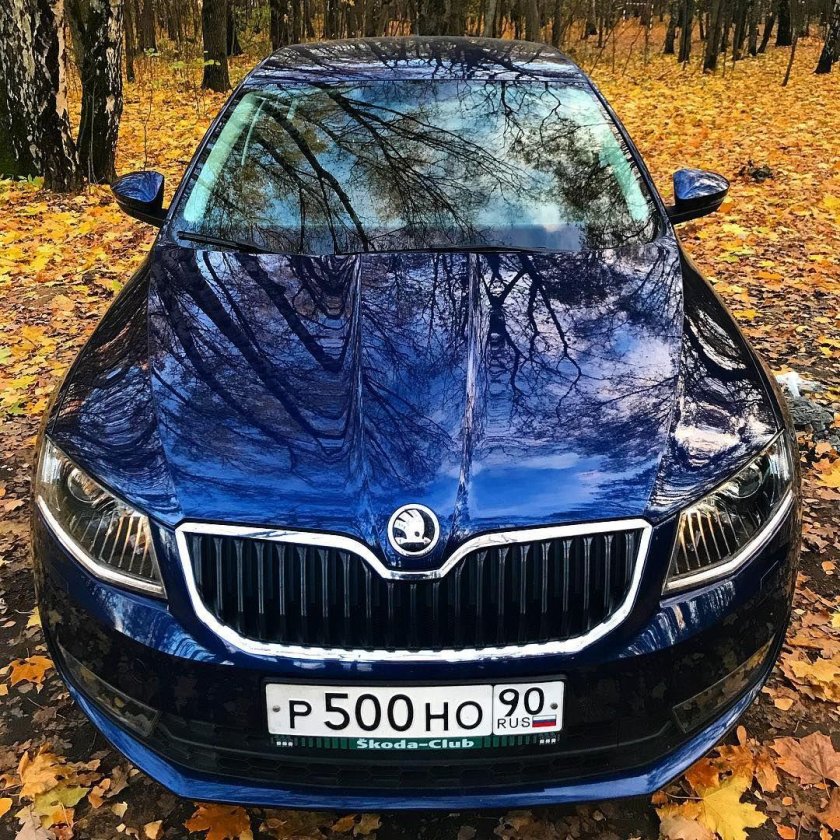 Шкода и БМВ