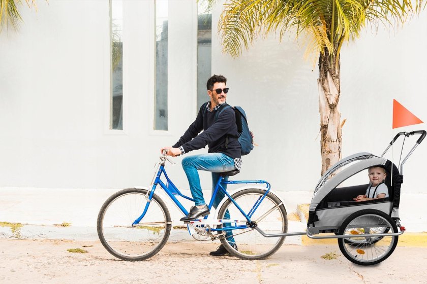 Велоприцеп для детей Thule Coaster XT