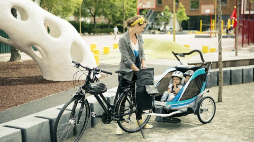 Велоприцеп для детей thule coaster xt