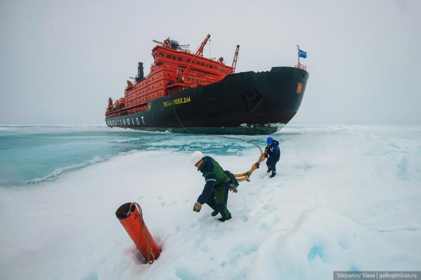 Андрей Вилькицкий ледокол