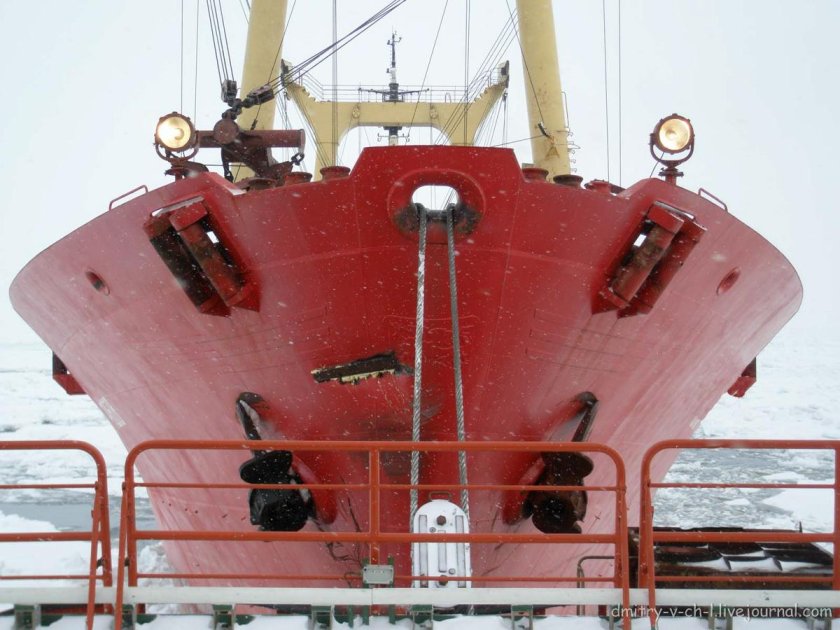 Корма ледокола