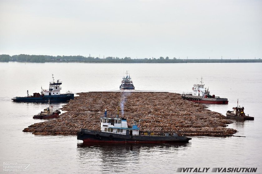 Буксир Двина Архангельск