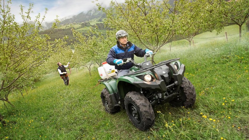 Ямаха Гризли 450