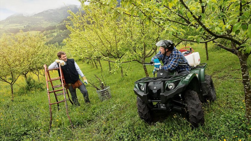 Квадроцикл yamaha grizzly