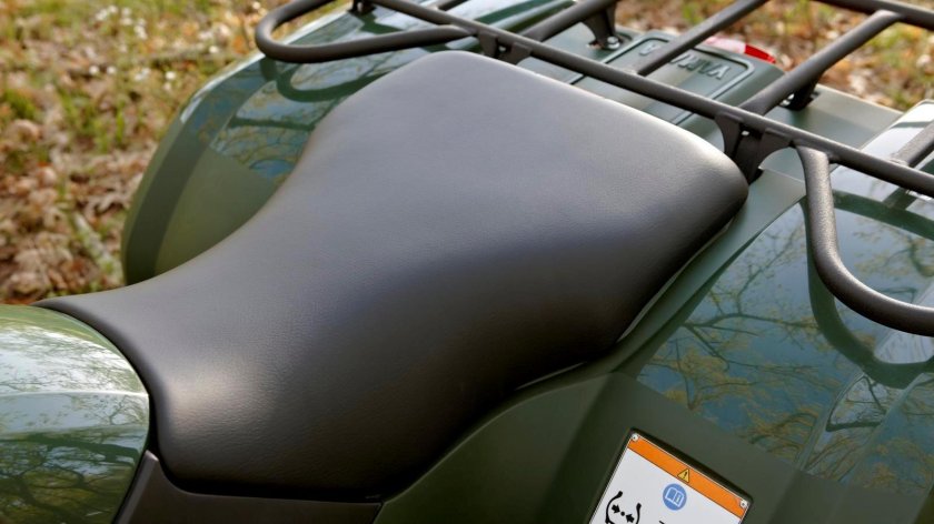 Yamaha Grizzly 450