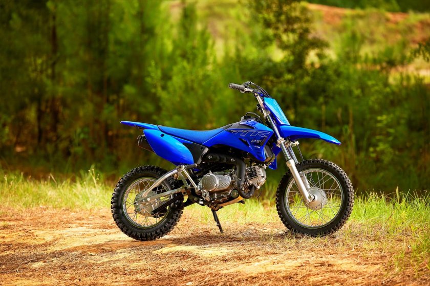 Yamaha TTR 110