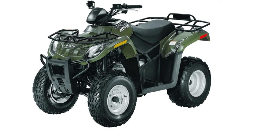 Arctic Cat 300