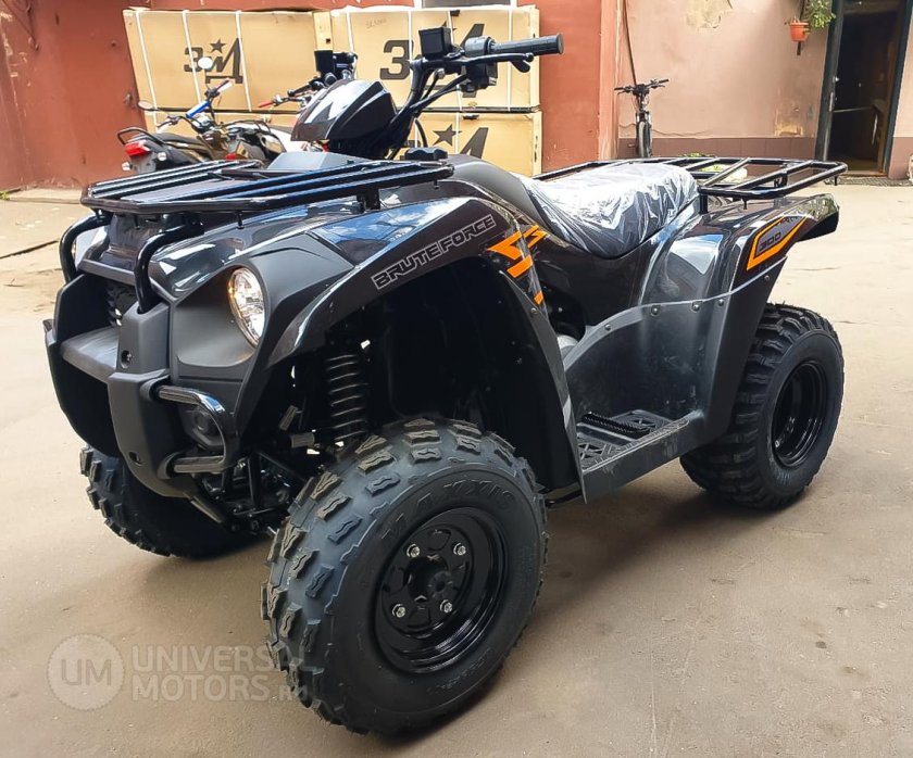 Kawasaki Brute Force 300
