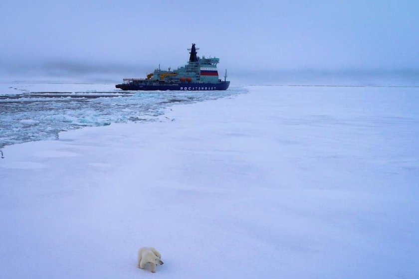 Атомный ледокол "Арктика"