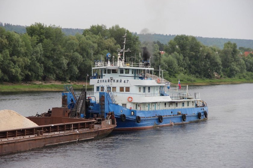 Толкач Дунайский 66