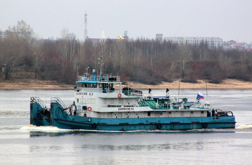 Дунайский толкач