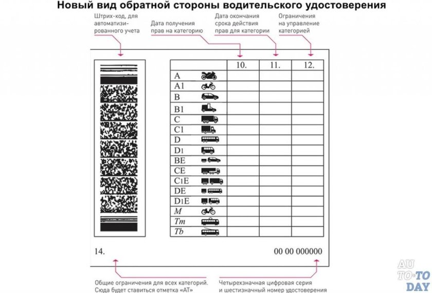 Категории в водительском удостоверении