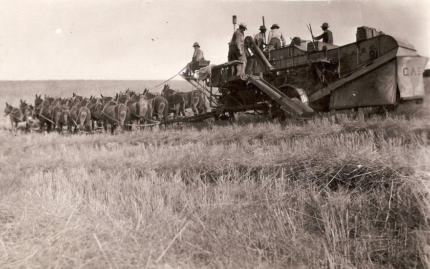 Зерноуборочный комбайн Сталинец-6