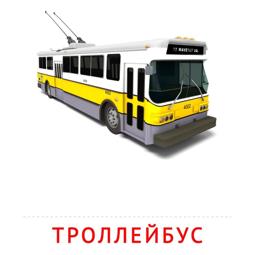 Карточки Домана автобус