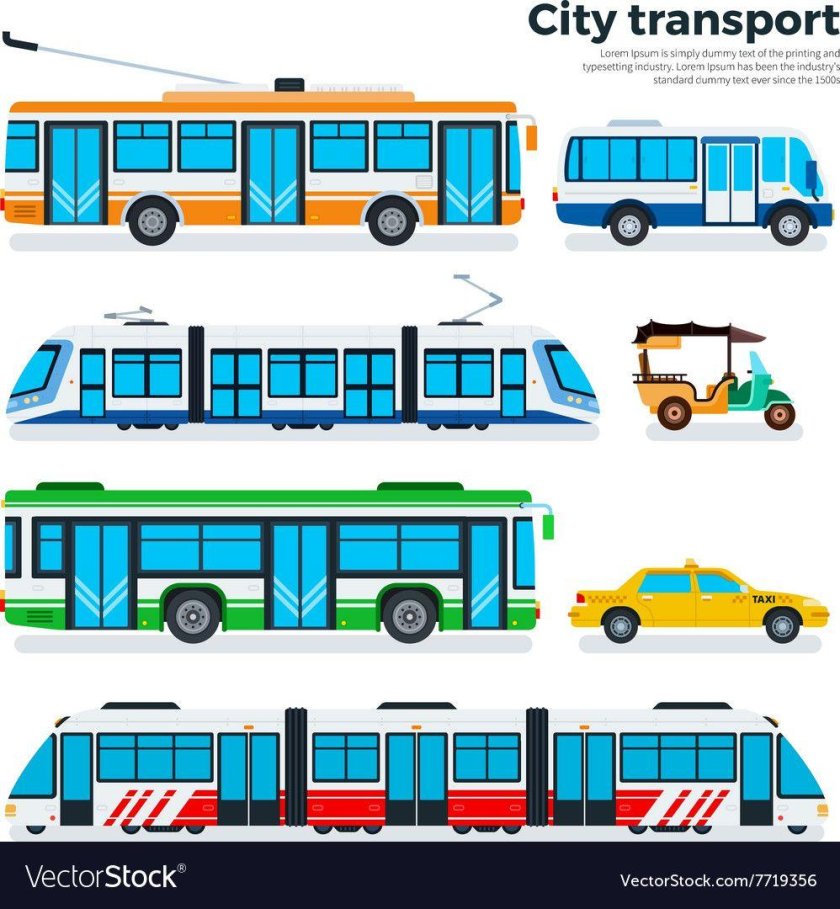 Транспорт вектор