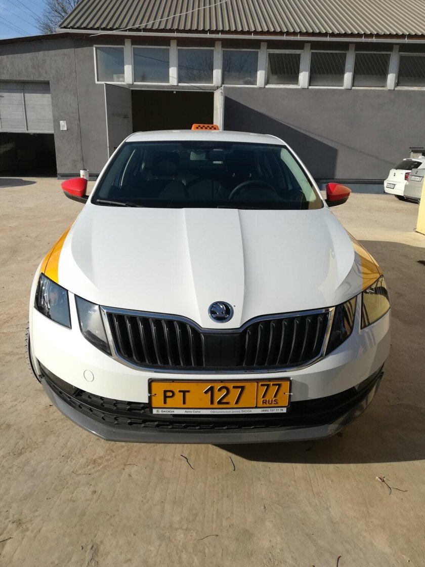 Номер 957 31 рус белая Шкода Октавия