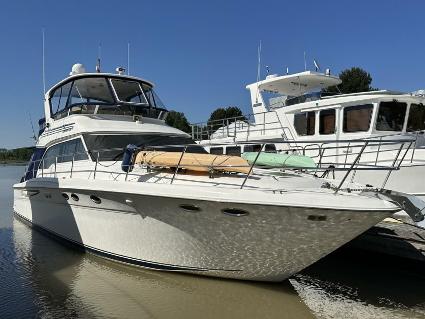 Sea ray boats