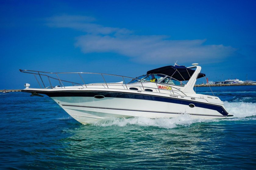 Морской прогулочный катер