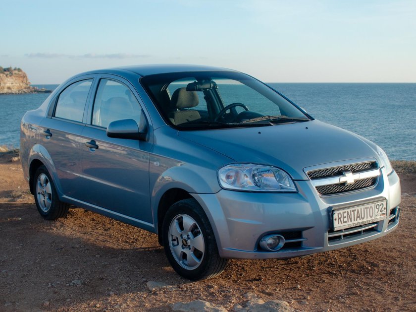 ЗАЗ вида серебристый