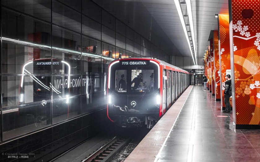 81 775 2 москва 2024