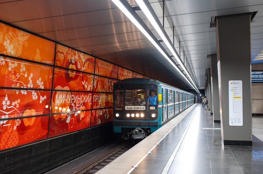 Станция мичуринский проспект