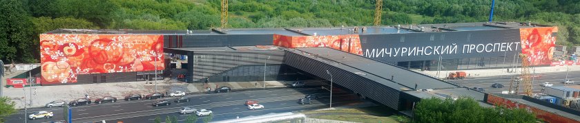 Станция Мичуринский проспект