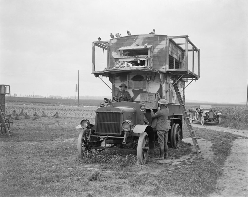 Передвижная голубятня первая мировая