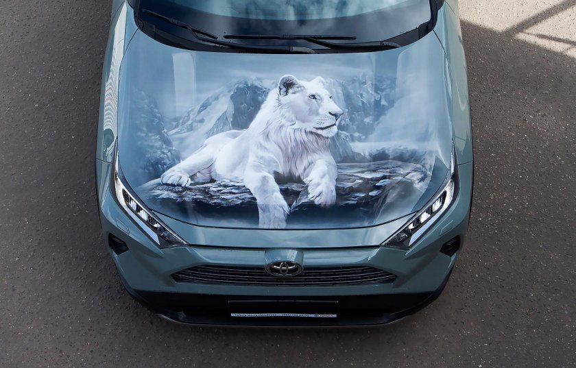 Аэрография рав 4 белый