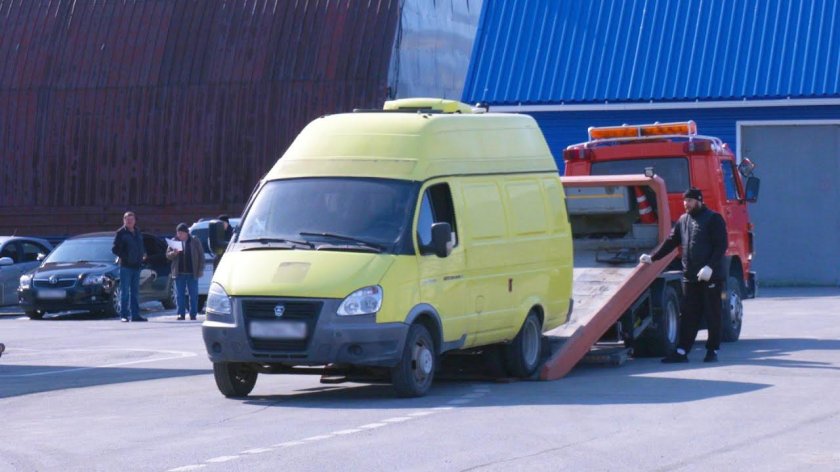 Газель выставка