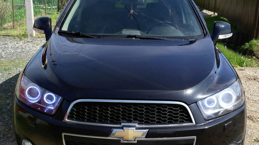 Ангельские глазки Каптива с100